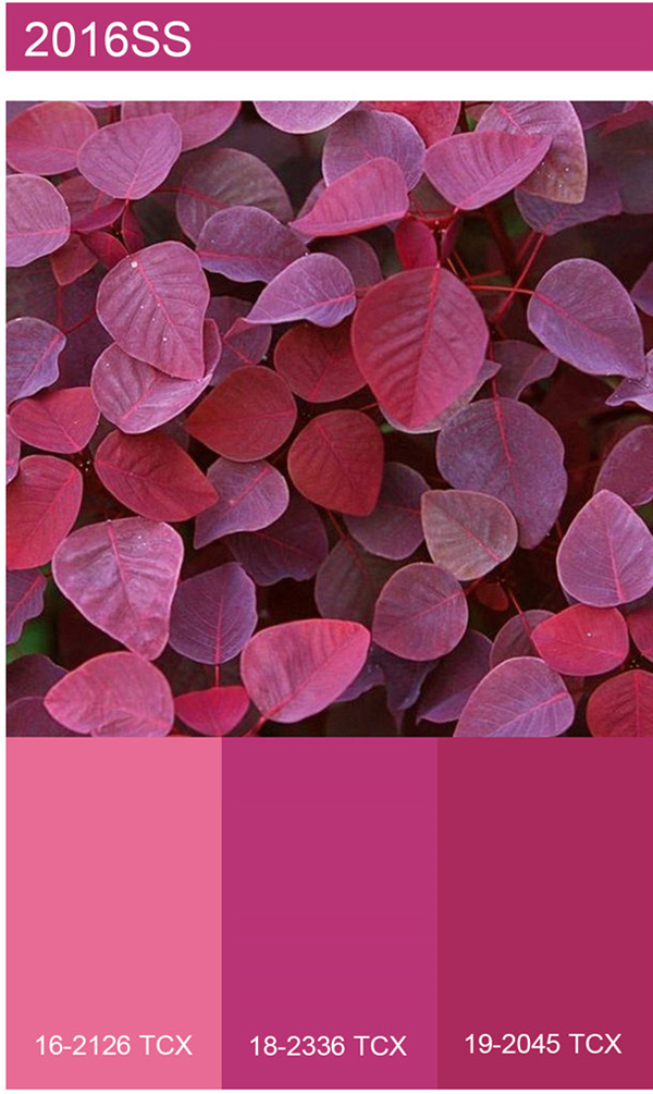 2016\/17秋冬&2017春夏色彩流行趋势-服装流