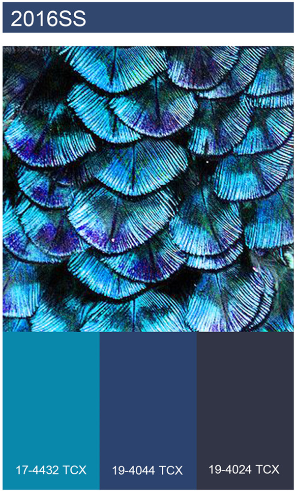 2016\/17秋冬&2017春夏色彩流行趋势-服装流