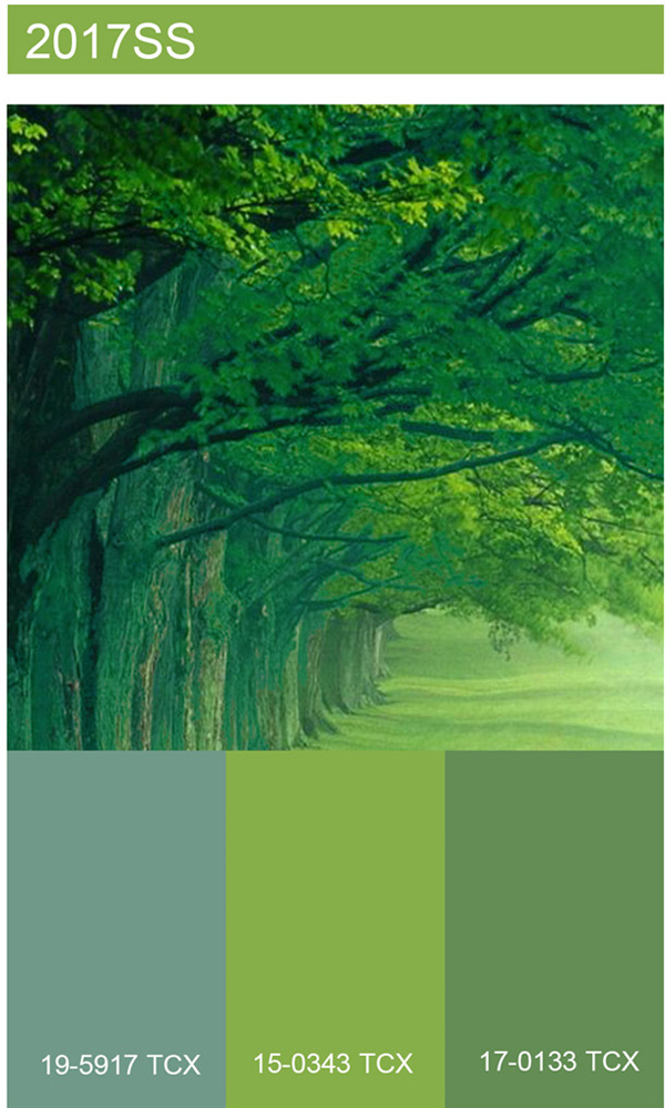 2016\/17秋冬&2017春夏色彩流行趋势-服装流