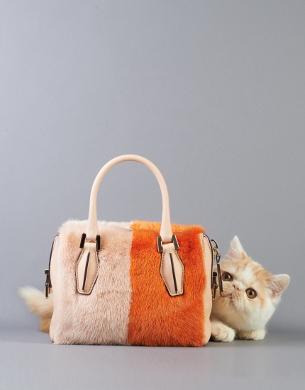 当大牌包包遇到猫-服装配饰\/单品-服装设计网