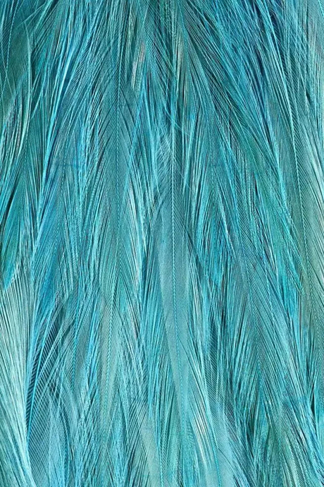 肌理 设计师的灵感来源-服装设计管理-服装设计