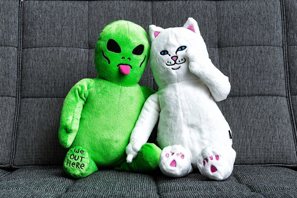 中指猫品牌 RIPNDIP 2016 春夏系列-服装品牌