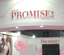 PROMISEŵ