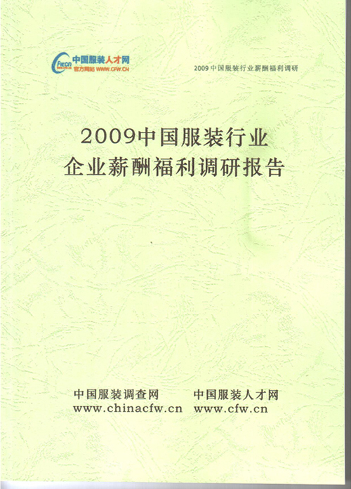中国银行收入证明模板_中国收入报告(2)