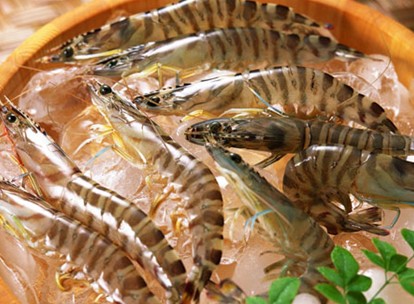 20120413162852171.jpg