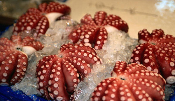 迎国庆 世界九大美食不可错过-服装企业文化-中