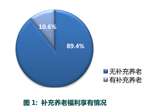 收入证明_收入保障计划(3)